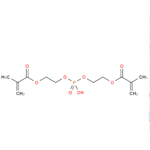 磷酸氢二(甲基丙烯酰氧乙基)酯,BIS(2-METHACRYLOXYETHYL) PHOSPHATE
