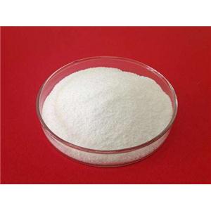 硫酸DL-莨菪堿,Atropine sulfate monohydrate