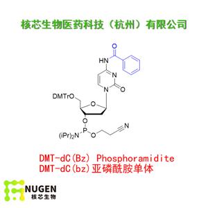DMT-dC(bz)亚磷酰胺单体,DMT-dC(Bz) Phosphoramidite