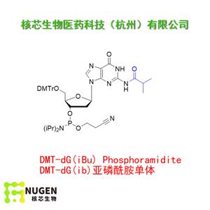 DMT-dG(ib)亚磷酰胺单体  工厂大货