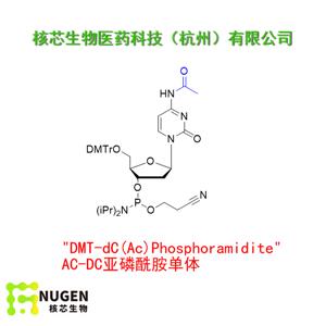 AC-DC亚磷酰胺单体,DMT-dC(Ac) Phosphoramidite