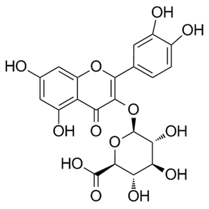 槲皮素-3-O-葡萄糖醛酸苷