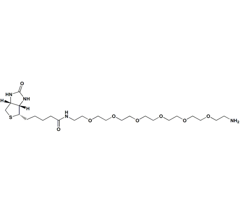 生物素-PEG6-胺,Biotin-PEG6-amine