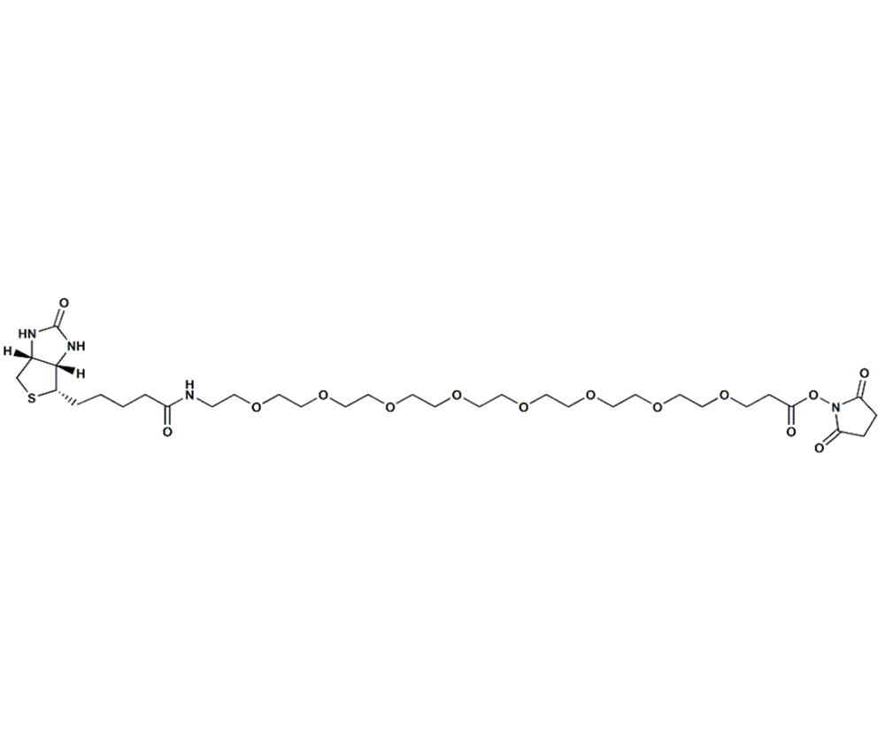 生物素-PEG8-琥珀酰亞胺酯,Biotin-PEG8-NHS Ester