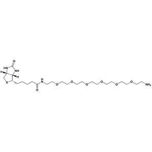 生物素-PEG6-胺