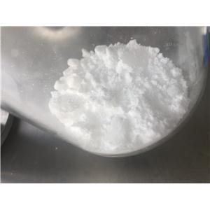 索馬魯肽,Semaglutide