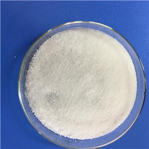 硫酸DL-莨菪碱