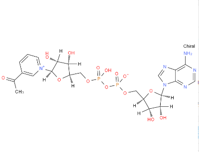 3-乙酰吡啶腺嘌呤二核苷酸,3-ACETYLPYRIDINE ADENINE DINUCLEOTIDE