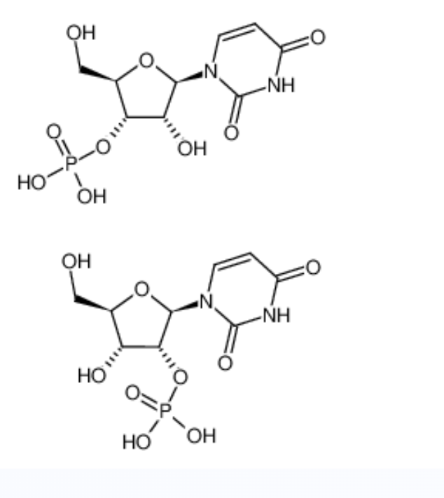 尿苷酸(2'-和3'-位的混合物),URIDYLIC ACID