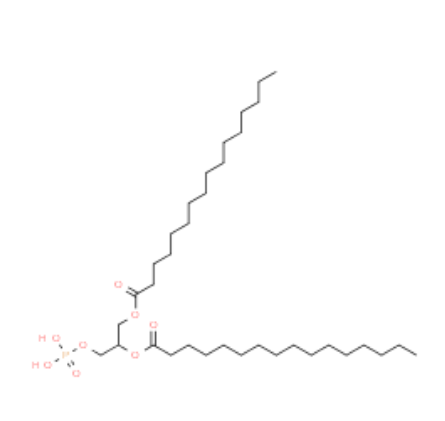 rac-1,2-dipalmitoyl-glycero-3-phosphate disodium salt,rac-1,2-dipalmitoyl-glycero-3-phosphate disodium salt