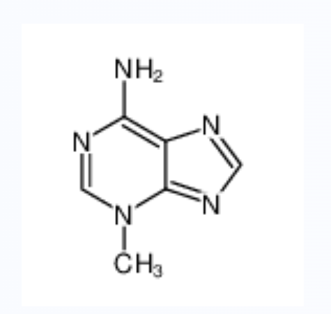 6-氨基-3-甲基嘌呤,3-methyladenine