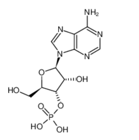 腺苷-3'-磷酸,3'-ADENYLIC ACID