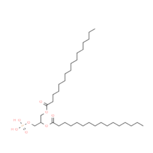 rac-1,2-dipalmitoyl-glycero-3-phosphate disodium salt	