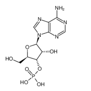 腺苷-3'-磷酸