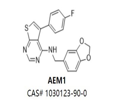 AEM1,AEM1