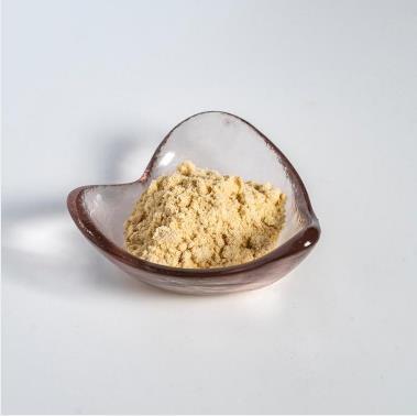 榴莲冻干粉,Durian lyophilized powder