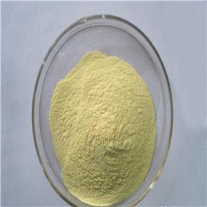 生姜提取物,Ginger extract