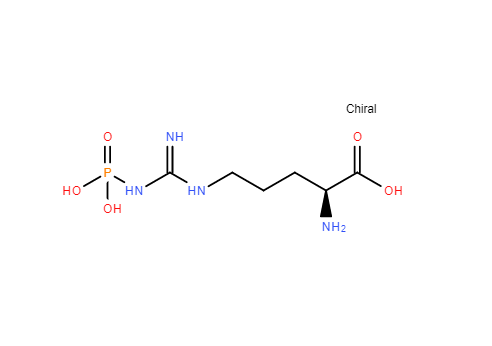 磷酸精胺酸,N-Phospho-L-arginine