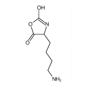 4-(4-氨基丁基)恶唑烷-2,5-二酮