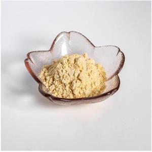 榴莲冻干粉,Durian lyophilized powder