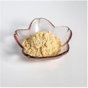 榴莲冻干粉,Durian lyophilized powder