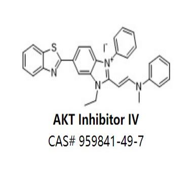 AKT Inhibitor IV,AKT Inhibitor IV