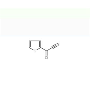6007-78-9 alpha-氧代噻吩-2-乙腈