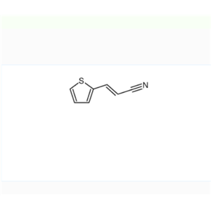 6041-28-7 3-(噻吩-2-基)丙烯腈