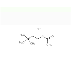 氯化乙酰硫代胆碱 6050-81-3