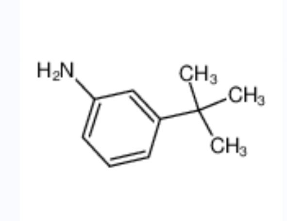 3-叔丁基苯胺,3-Tert-Butylaniline