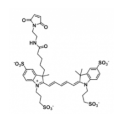 Alexa Fluor 647 maleimide/马来酰亚胺,Alexa Fluor 647 maleimide