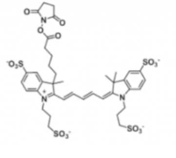 Alexa Fluor 647 NHS ester/琥珀酰亞胺活化酯,Alexa Fluor 647 NHS ester