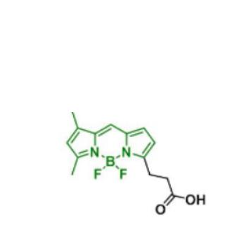 BDP FL COOH/羧酸羧基,BDP FL COOH