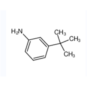 3-叔丁基苯胺	