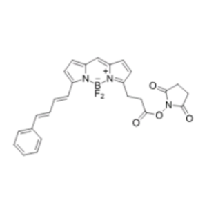 BDP 581/591 NHS ester/琥珀酰亚胺活化酯
