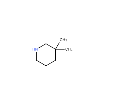 3,3-二甲基哌啶,3,3-DIMETHYLPIPERIDINE