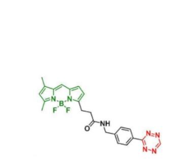 BDP FL tetrazine，BDP FL 四嗪/TZ,BDP FL tetrazine