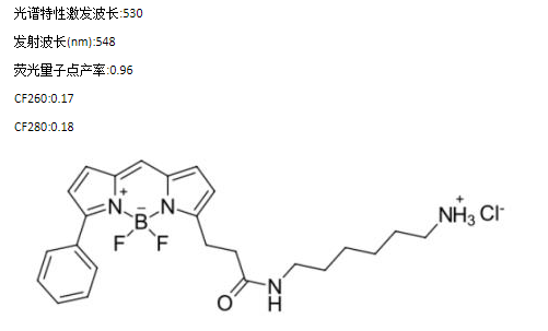 BDP R6G amine/NH2/氨基,BDP R6G amine/NH2