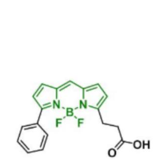 BDP R6G carboxylic acid/COOH/羧基羧酸,BDP R6G carboxylic acid/COOH/