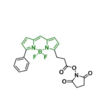 BDP R6G NHS ester/琥珀酰亚胺活化酯,BDP R6G NHS ester
