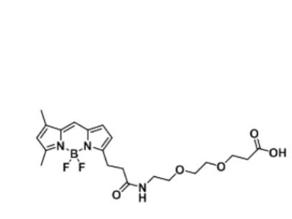 BODIPY FL-PEG2-COOH/carboxylic acid/羧基羧酸,BODIPY FL-PEG2-COOH/carboxylic acid