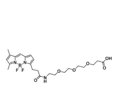 BODIPY FL-PEG3-COOH/carboxylic acid/羧基羧酸,BODIPY FL-PEG3-COOH/carboxylic acid