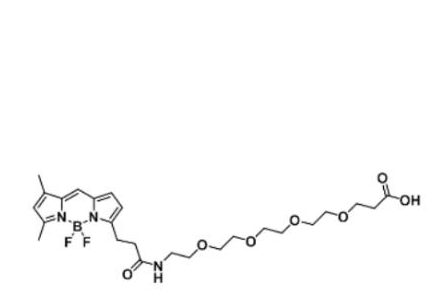 BODIPY FL-PEG4-COOH/carboxylic acid/羧基羧酸,BODIPY FL-PEG4-COOH/carboxylic acid