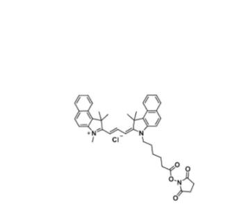 Cy3.5 NHS ester/琥珀酰亚胺活化酯(Methyl),Cy3.5 NHS ester