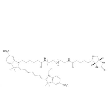 Cy7-PEG-Biotin  Cy7-聚乙二醇-生物素  Biotin-PEG-Cy7,Cy7-PEG-Biotin