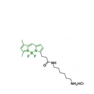 BDP FL NH2/anine/氨基