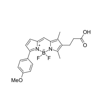 BDP TMR carboxylic acid/COOH/羧基羧酸