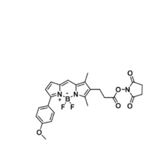 BDP TMR NHS ester/琥珀酰亚胺活化酯