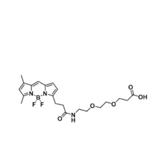 BODIPY FL-PEG2-COOH/carboxylic acid/羧基羧酸