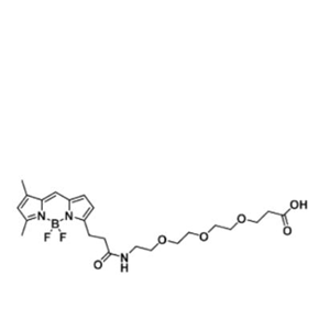 BODIPY FL-PEG3-COOH/carboxylic acid/羧基羧酸